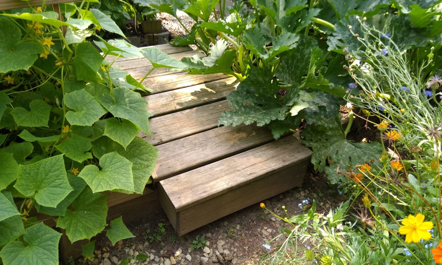 cropped-DOUG-ornamental-garden-structure-2-min.jpg